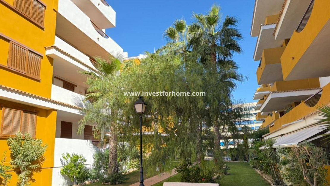 Försäljning - Lägenhet - Torrevieja - Punta prima
