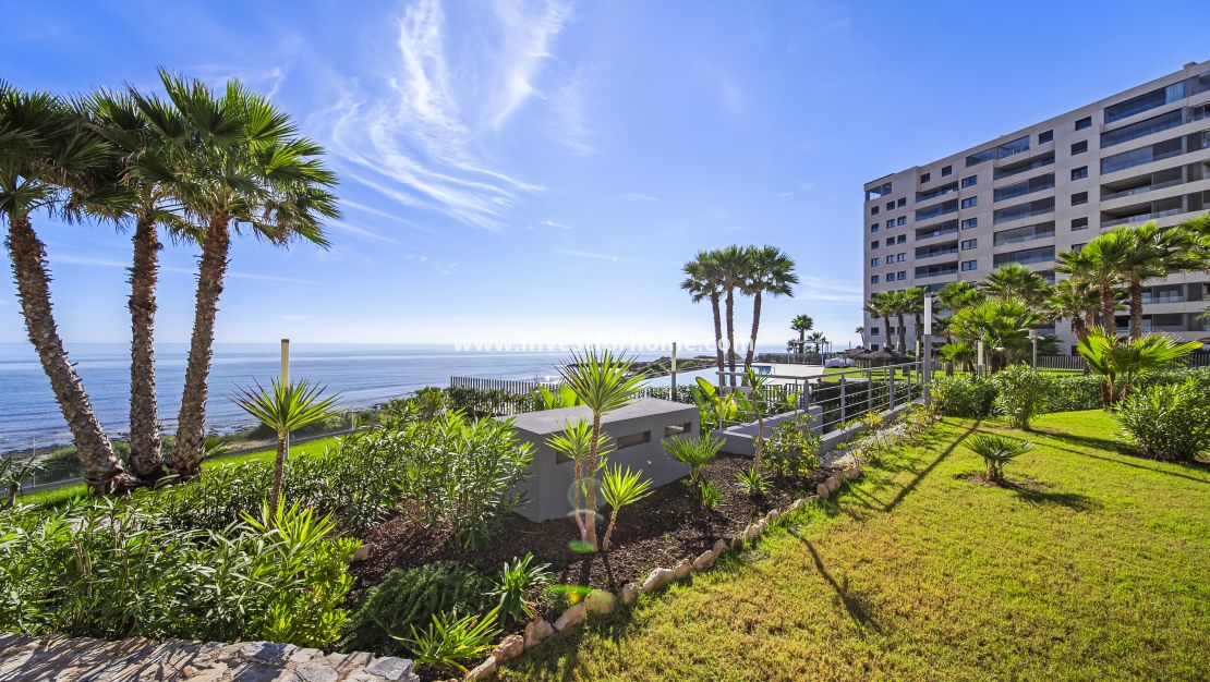 Försäljning - Lägenhet - Torrevieja - Punta prima