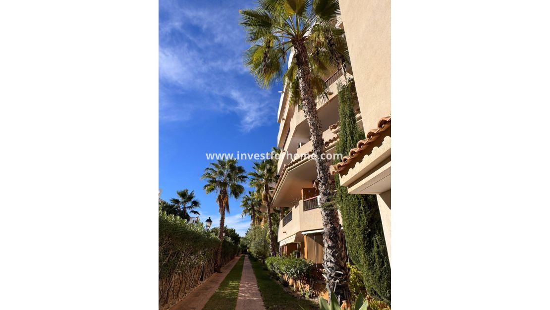 Försäljning - Lägenhet - Torrevieja - Punta prima