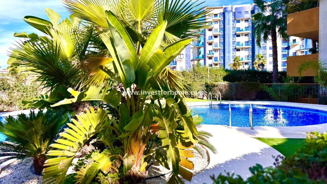 Försäljning - Lägenhet - Torrevieja - Punta prima