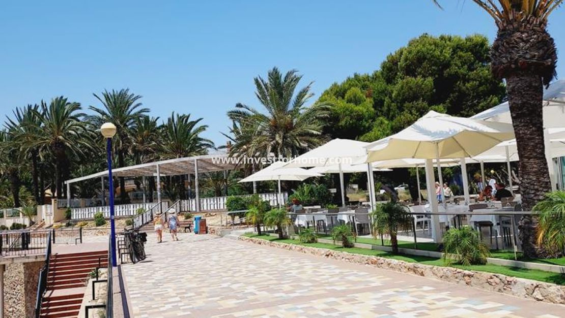 Försäljning - Lägenhet - Torrevieja - Punta prima