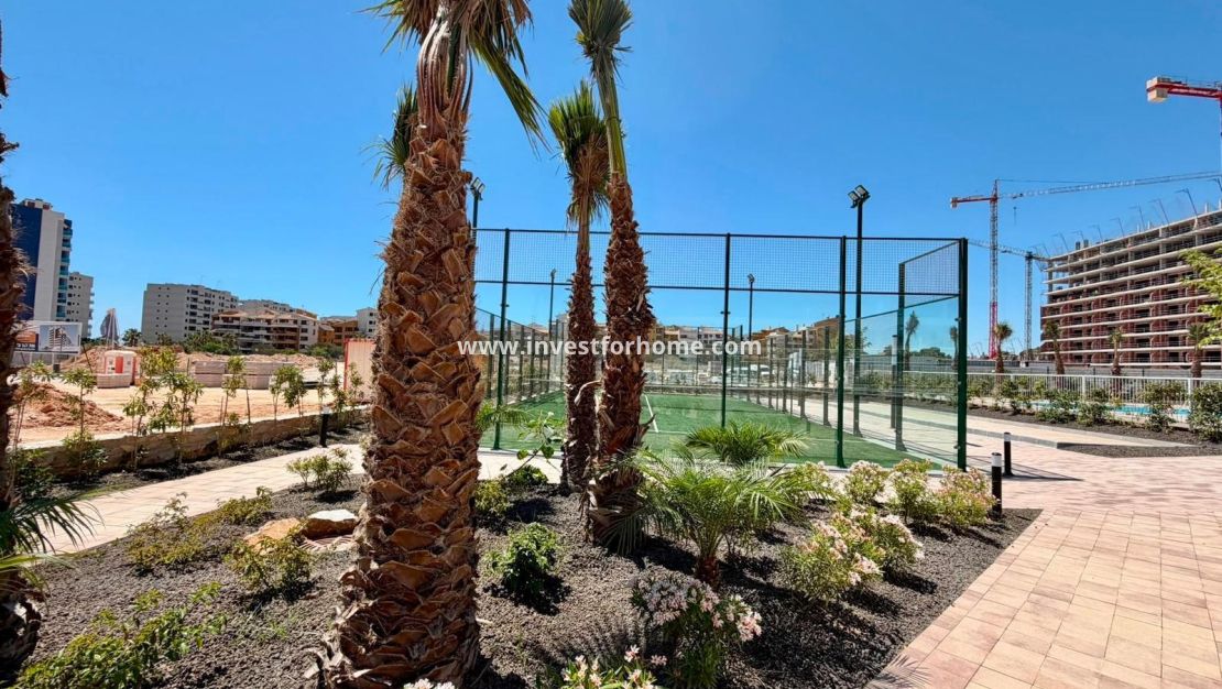 Försäljning - Lägenhet - Torrevieja - Punta prima