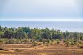 Försäljning - Lägenhet - Torrevieja - Punta prima