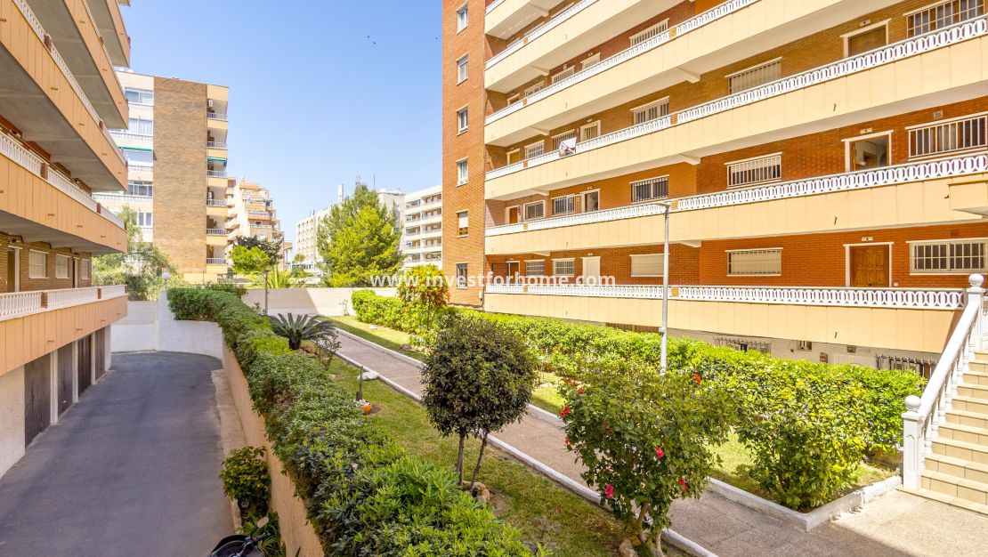 Försäljning - Lägenhet - Torrevieja - Punta prima