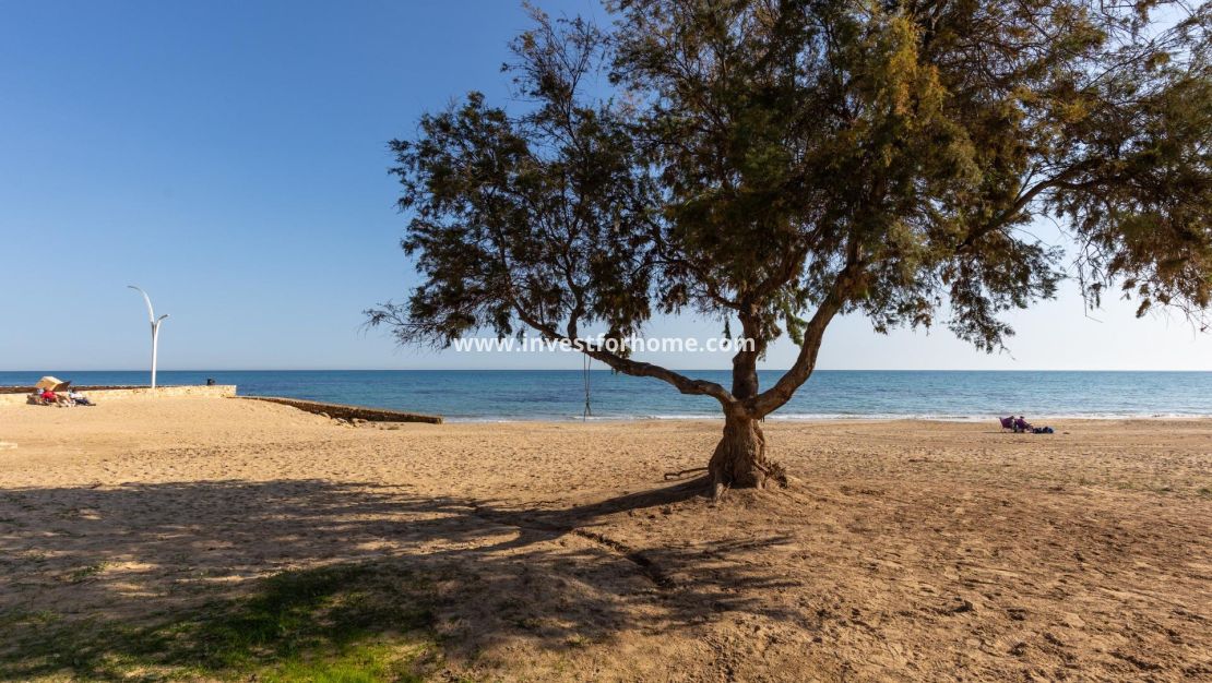 Försäljning - Lägenhet - Torrevieja - Torrelamata - La Mata