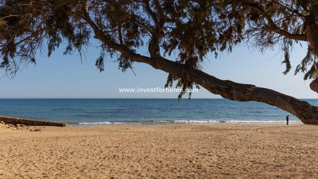 Försäljning - Lägenhet - Torrevieja - Torrelamata - La Mata