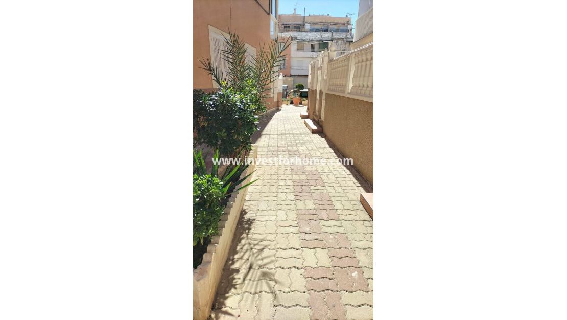 Försäljning - Lägenhet - Torrevieja - Torrelamata - La Mata