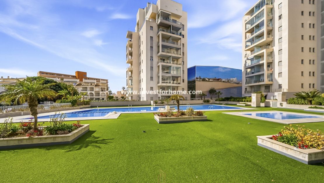 Försäljning - Lägenhet - Torrevieja - Torrelamata - La Mata