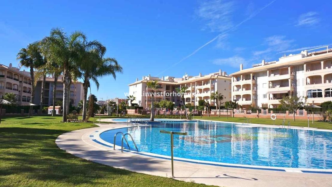 Försäljning - Penthouse - Orihuela Costa - Playa Flamenca