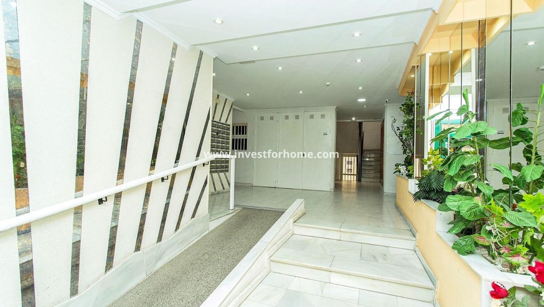 Försäljning - Penthouse - Torrevieja - Centro