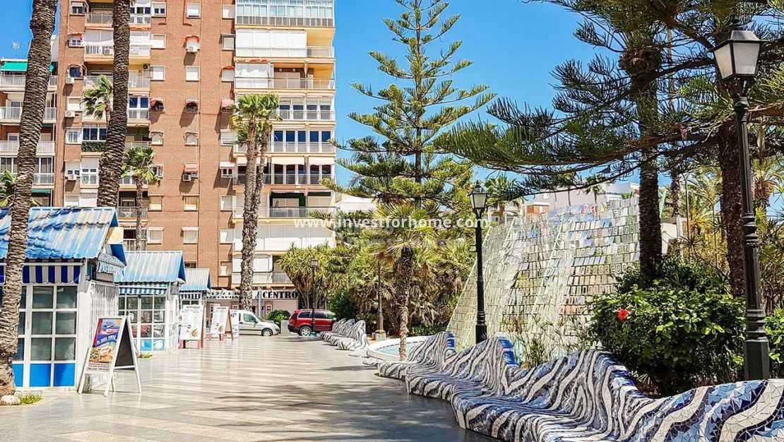 Försäljning - Penthouse - Torrevieja - Centro