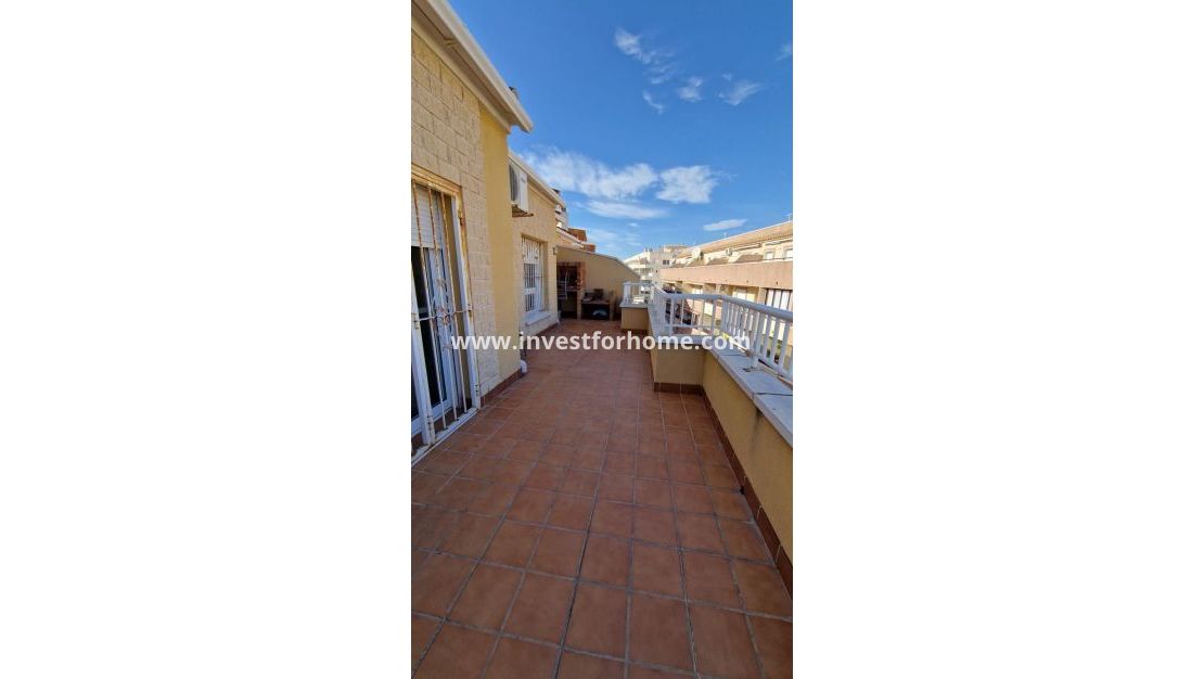 Försäljning - Penthouse - Torrevieja - El Molino