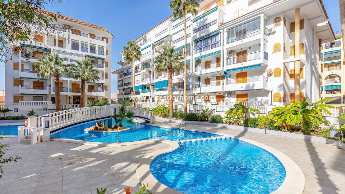 Försäljning - Penthouse - Torrevieja - Los Europeos