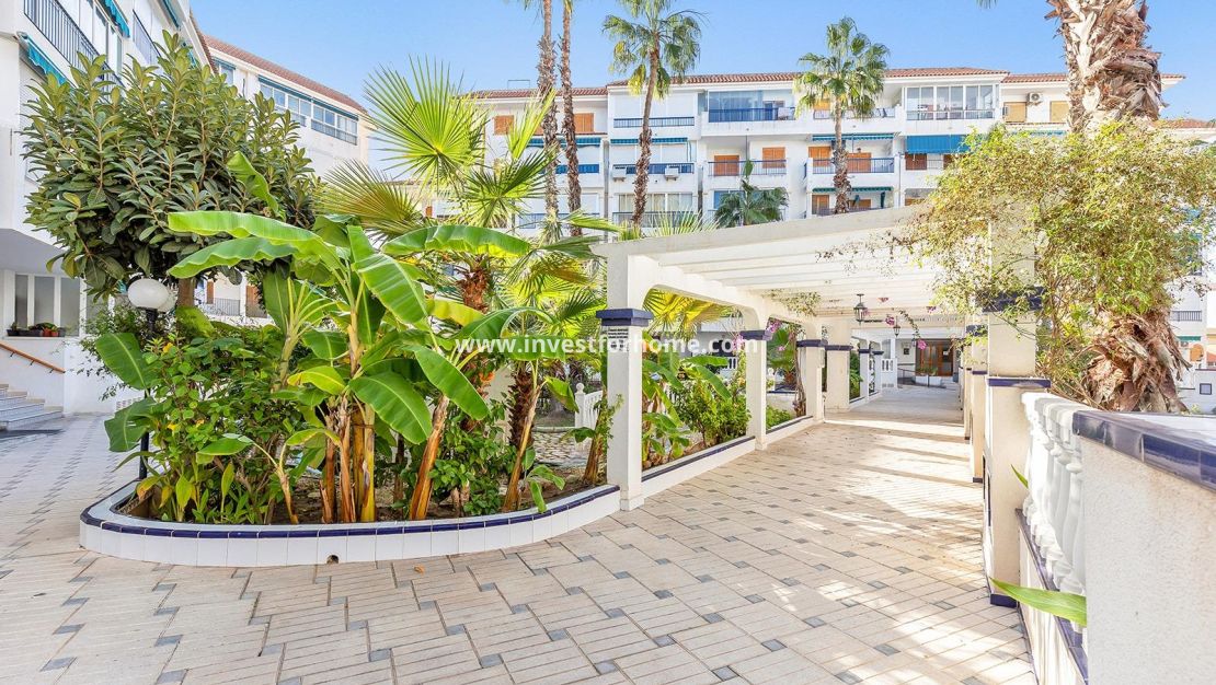 Försäljning - Penthouse - Torrevieja - Los Europeos