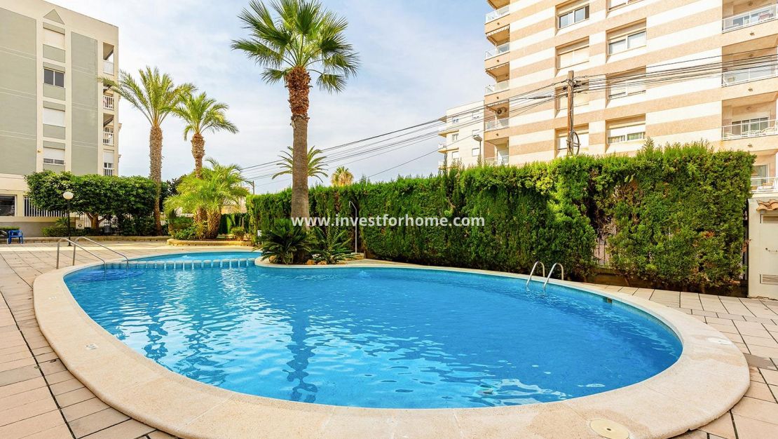 Försäljning - Penthouse - Torrevieja - Nueva Torrevieja - Aguas Nuevas