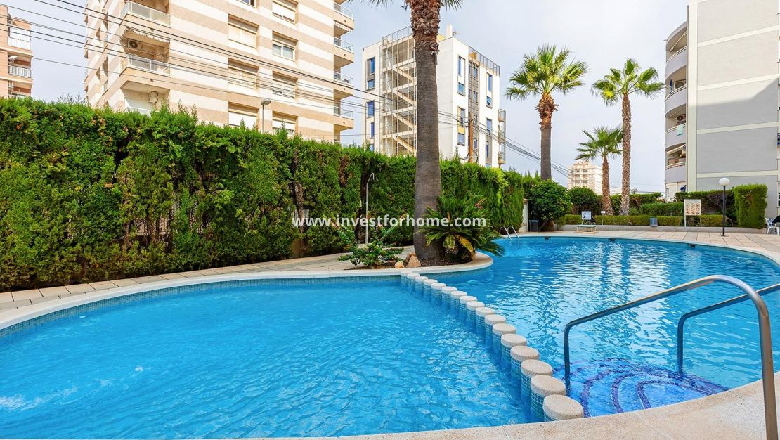 Försäljning - Penthouse - Torrevieja - Nueva Torrevieja - Aguas Nuevas