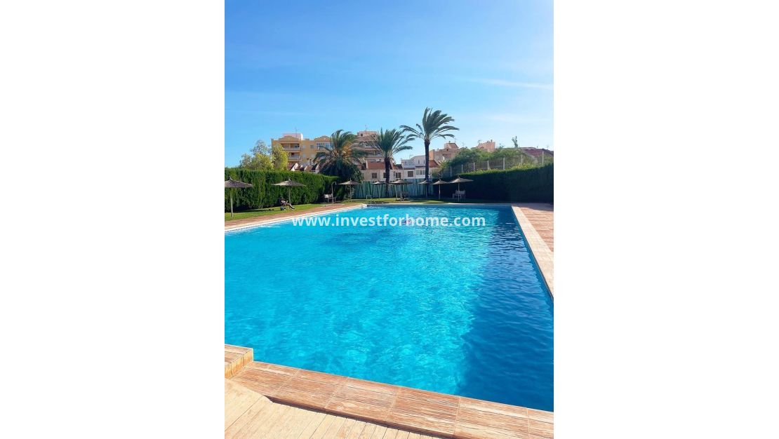 Försäljning - Penthouse - Torrevieja - Nueva Torrevieja - Aguas Nuevas