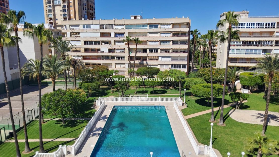 Försäljning - Penthouse - Torrevieja - Playa de los Locos