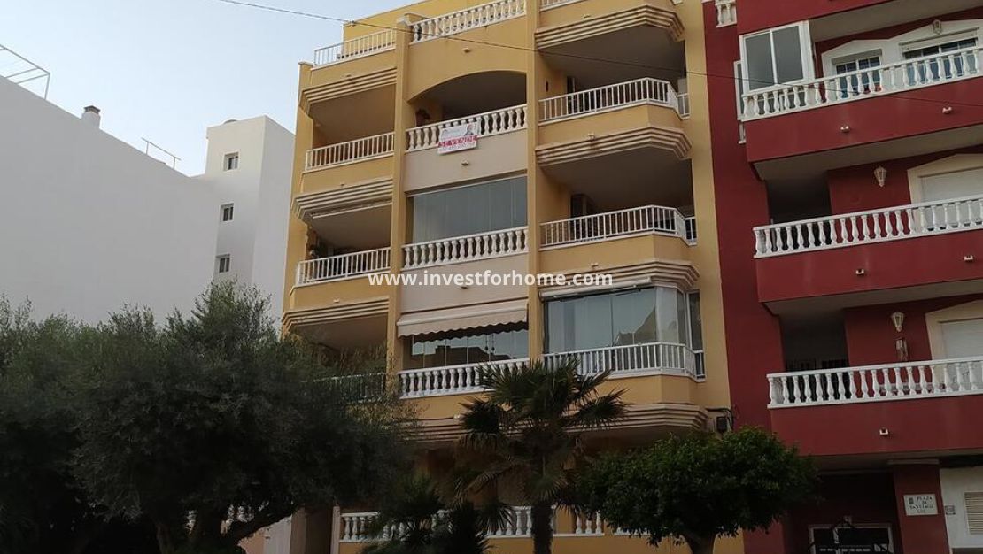 Försäljning - Penthouse - Torrevieja - Torrelamata - La Mata