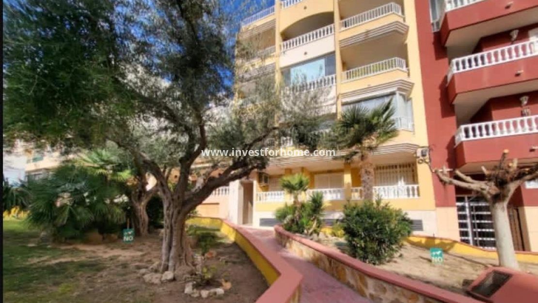 Försäljning - Penthouse - Torrevieja - Torrelamata - La Mata