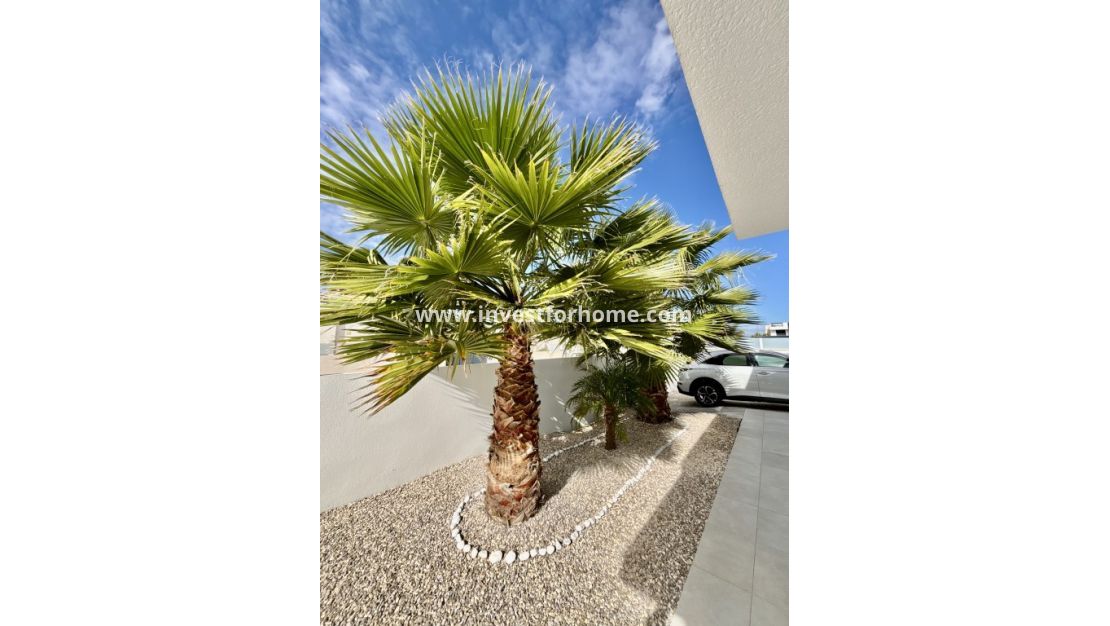 Försäljning - Villa - Benijofar - Costa Blanca