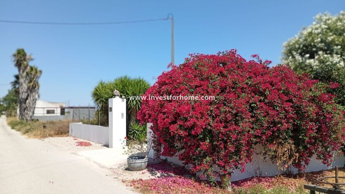Försäljning - Villa - Daya Nueva - Costa Blanca