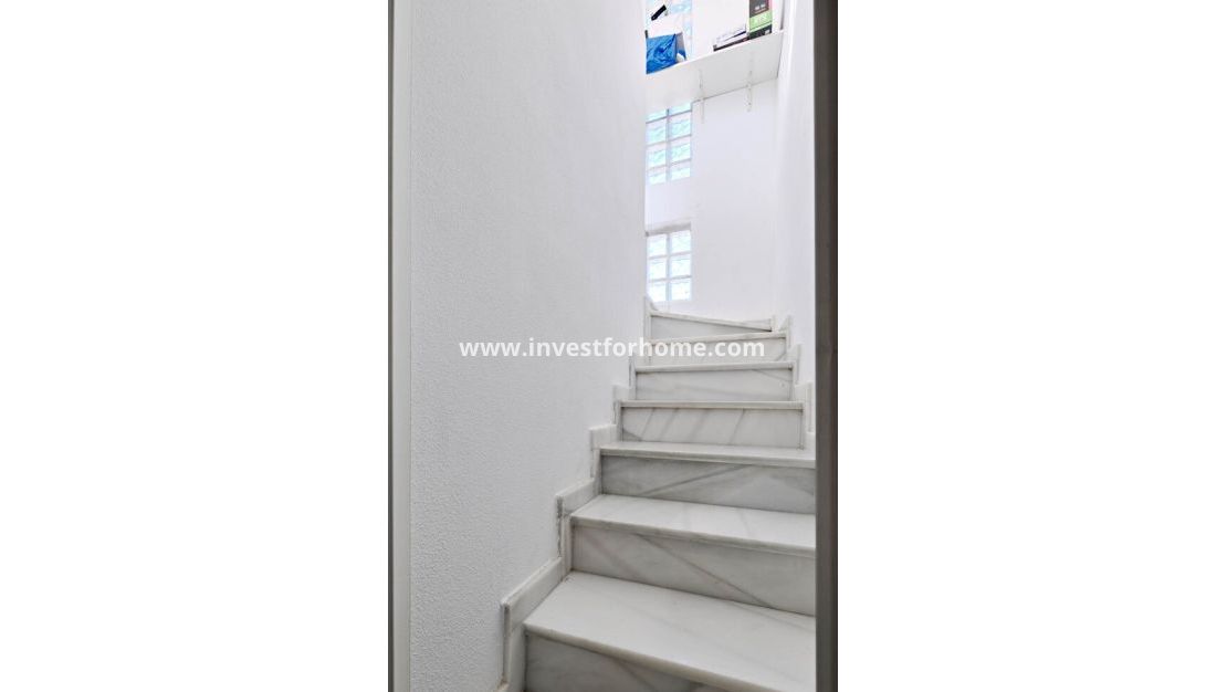 Försäljning - Villa - Guardamar del Segura - El Raso