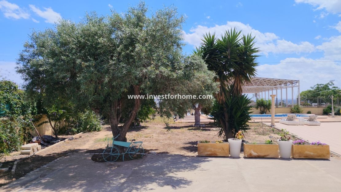 Försäljning - Villa - Los Montesinos - Costa Blanca