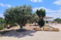 Försäljning - Villa - Los Montesinos - Costa Blanca
