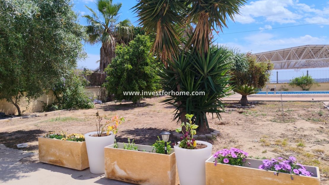 Försäljning - Villa - Los Montesinos - Costa Blanca