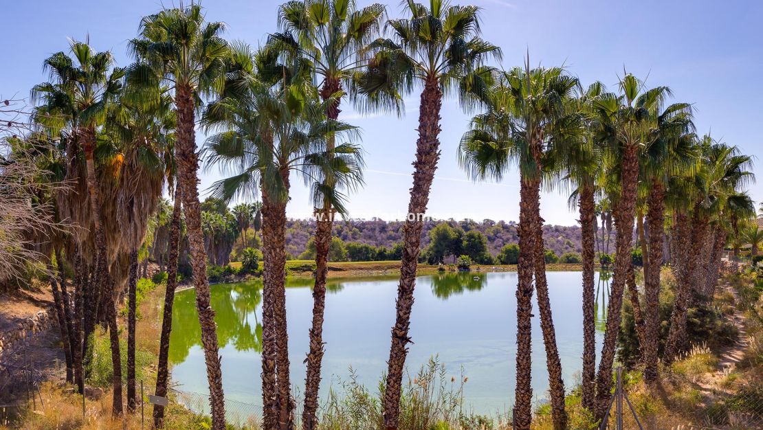 Försäljning - Villa - Orihuela Costa - Costa Blanca