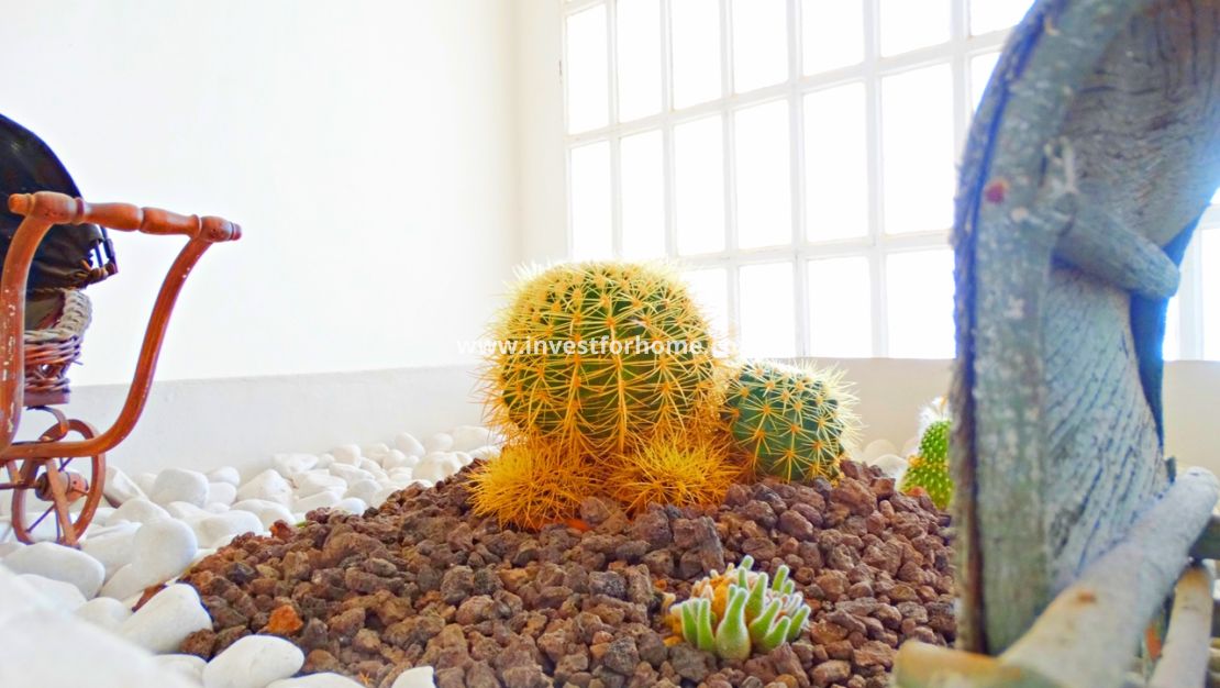 Försäljning - Villa - Orihuela Costa - Costa Blanca