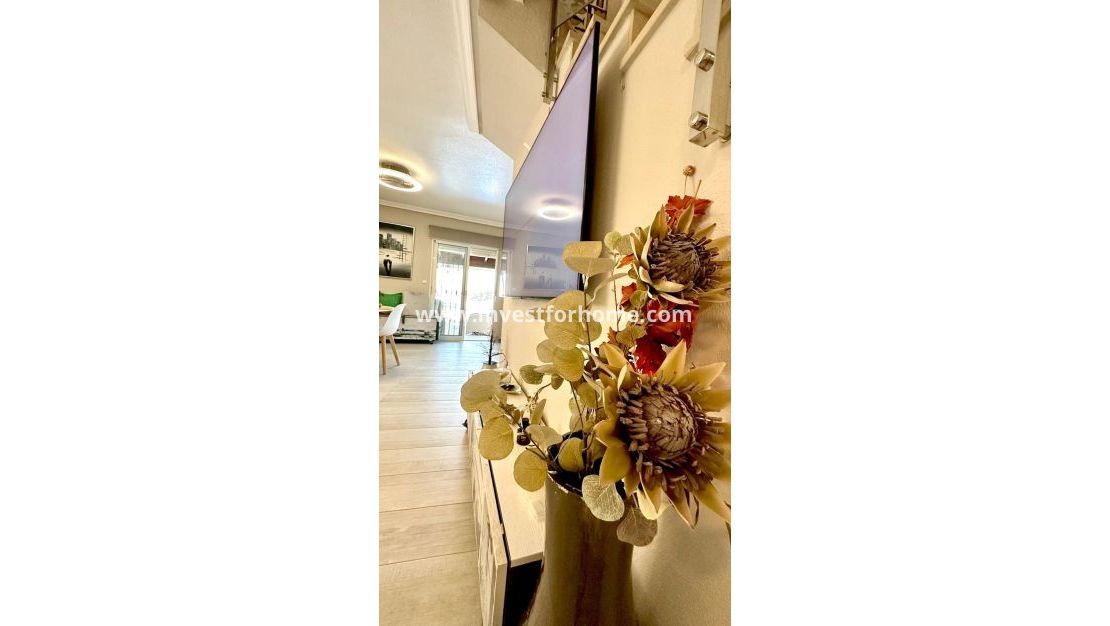 Försäljning - Villa - Orihuela Costa - La Regia