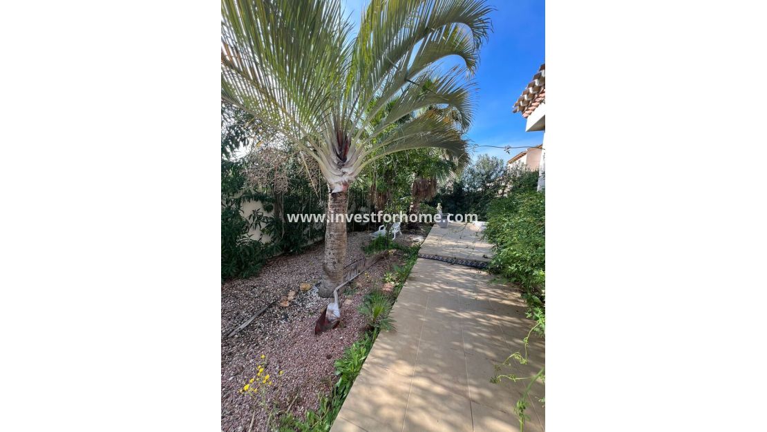 Försäljning - Villa - Orihuela Costa - Playa Flamenca