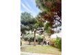 Försäljning - Villa - Orihuela Costa - Punta Prima
