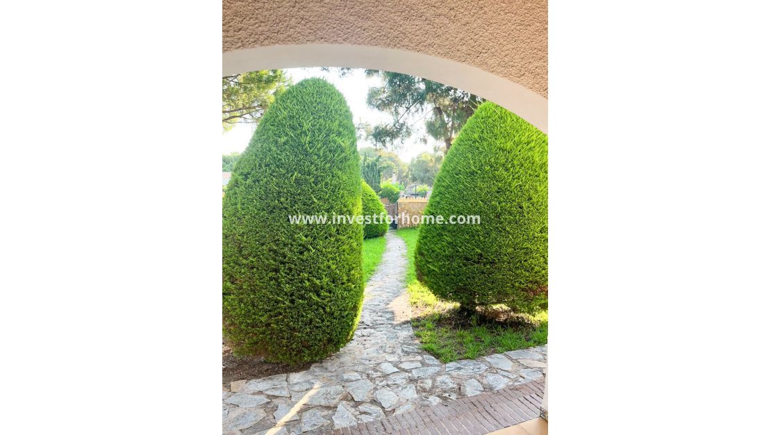 Försäljning - Villa - Orihuela Costa - Punta Prima