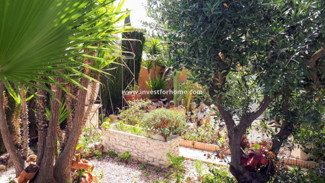 Försäljning - Villa - Rojales - Costa Blanca