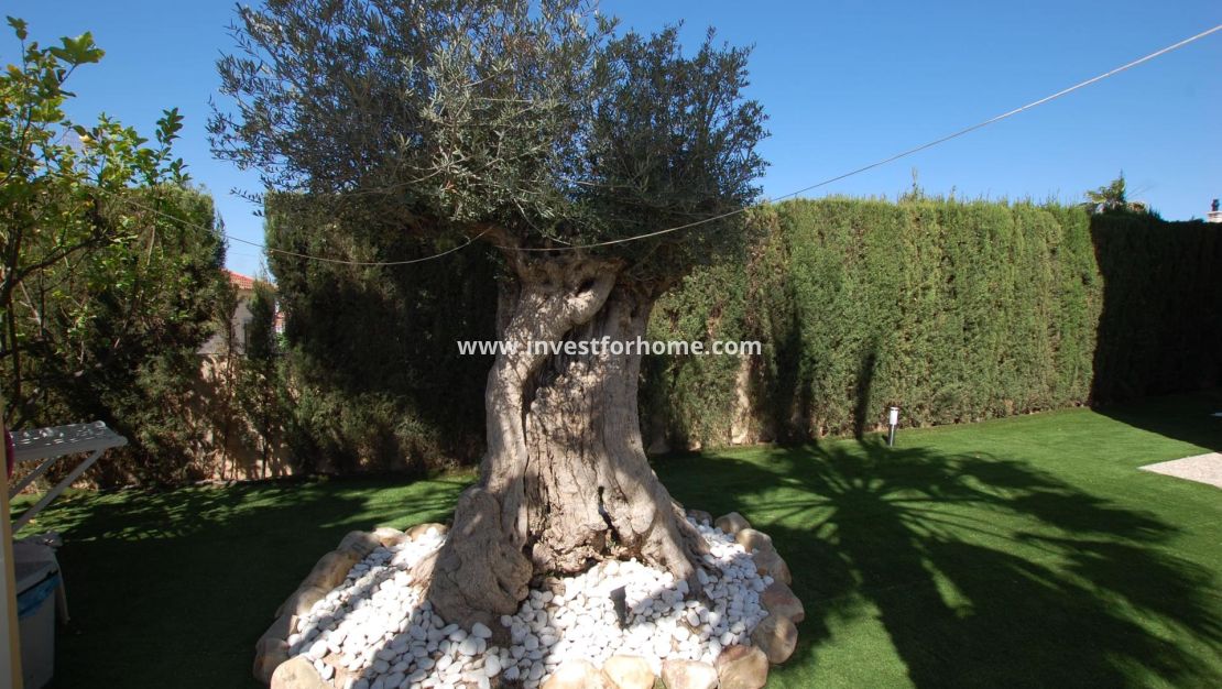 Försäljning - Villa - Rojales - Costa Blanca