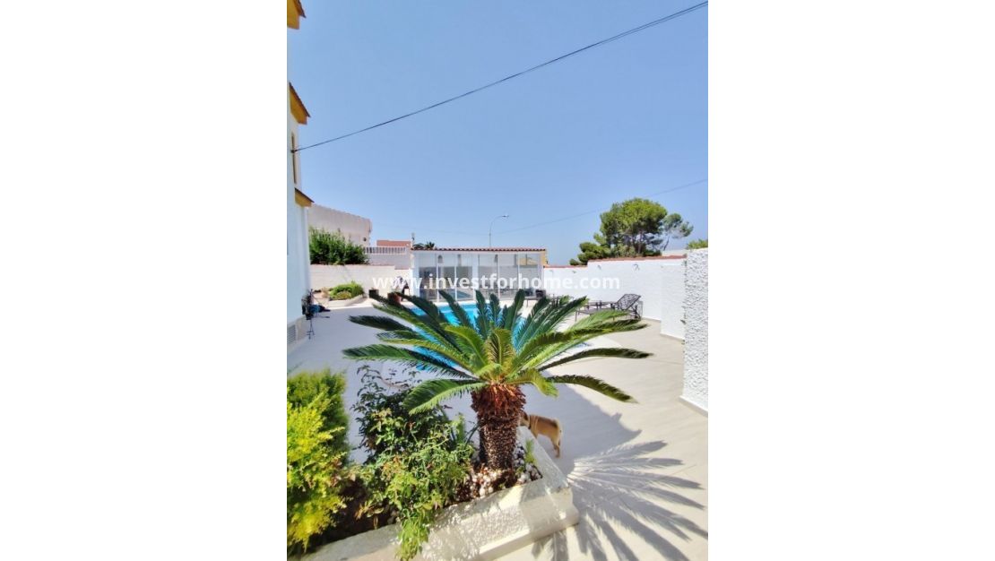 Försäljning - Villa - San Miguel de Salinas - Inland