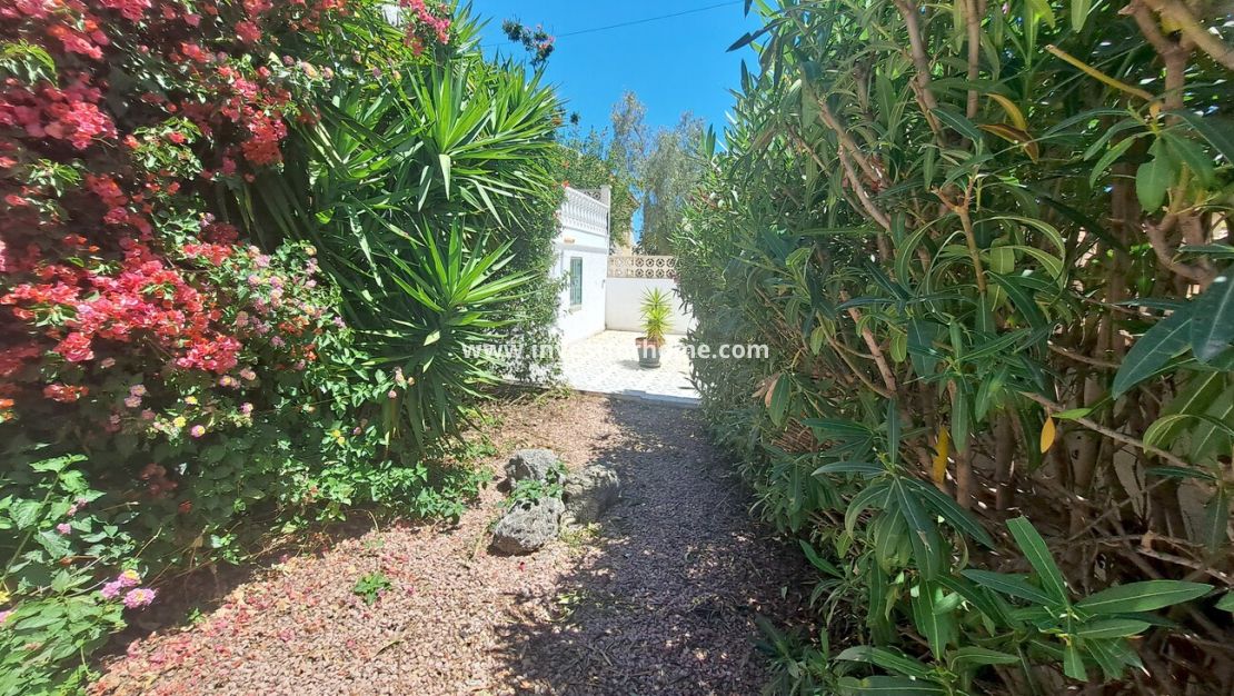 Försäljning - Villa - San Miguel de Salinas - Inland