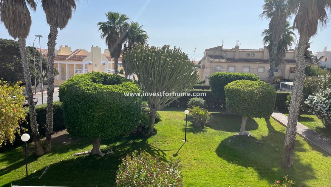 Försäljning - Villa - Torrevieja - Costa Blanca