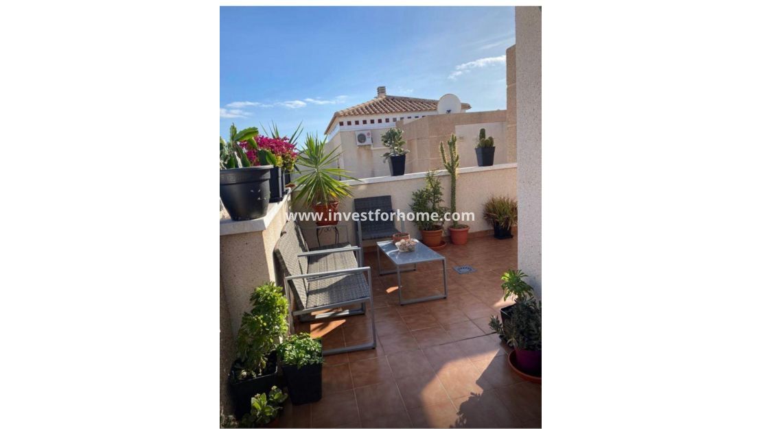 Försäljning - Villa - Torrevieja - Costa Blanca