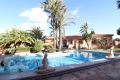Försäljning - Villa - Torrevieja - Costa Blanca