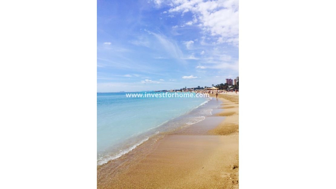 Försäljning - Villa - Torrevieja - Costa Blanca