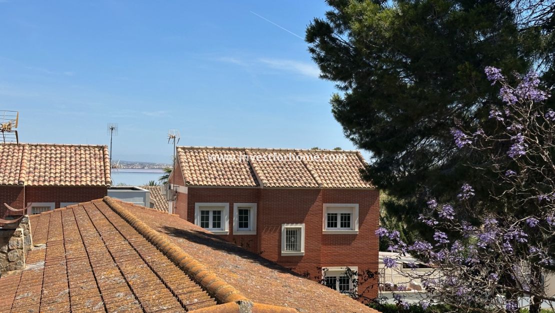 Försäljning - Villa - Torrevieja - Costa Blanca