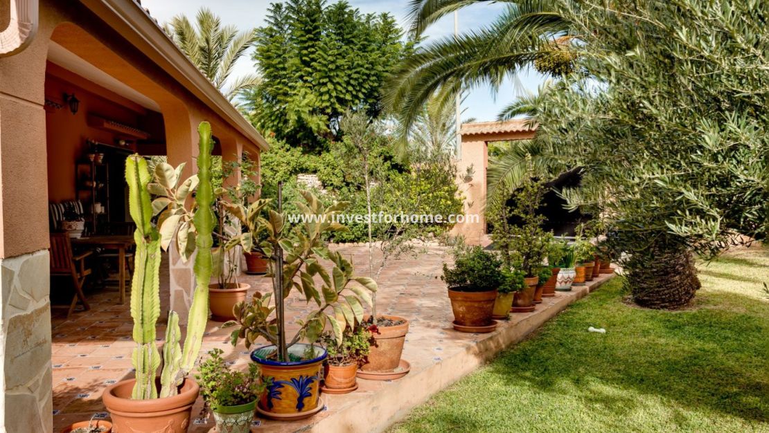 Försäljning - Villa - Torrevieja - La Siesta-El Chaparral