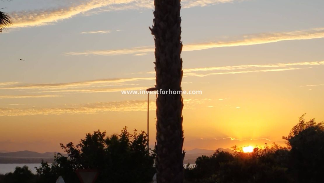 Försäljning - Villa - Torrevieja - La Siesta - El Salado - Torreta