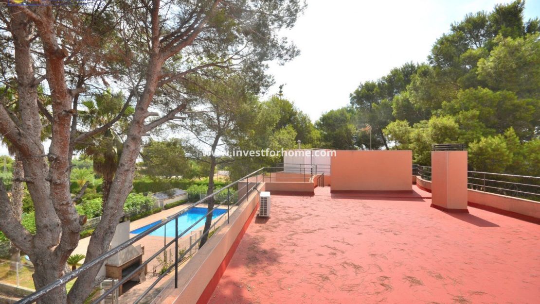 Försäljning - Villa - Torrevieja - Los Balcones