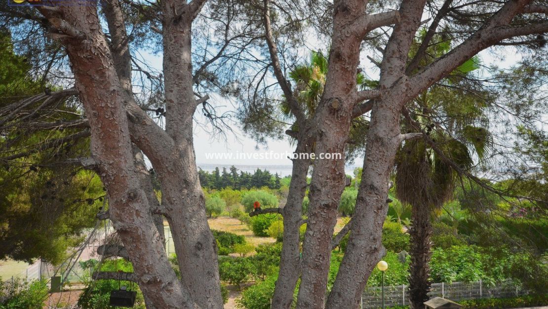 Försäljning - Villa - Torrevieja - Los Balcones