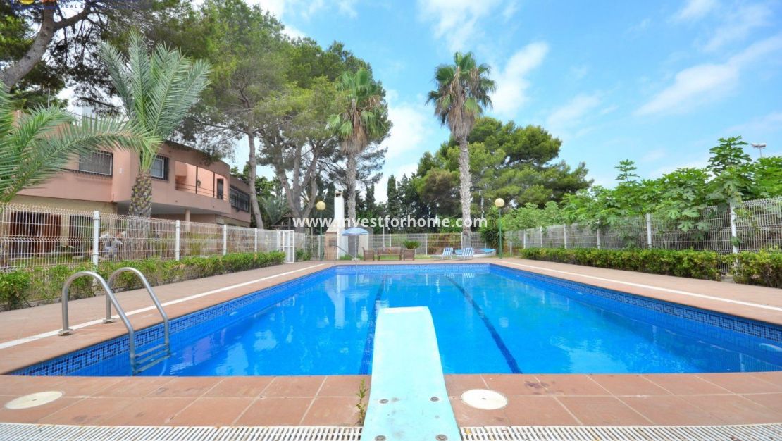 Försäljning - Villa - Torrevieja - Los Balcones